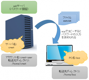 expectコマンド